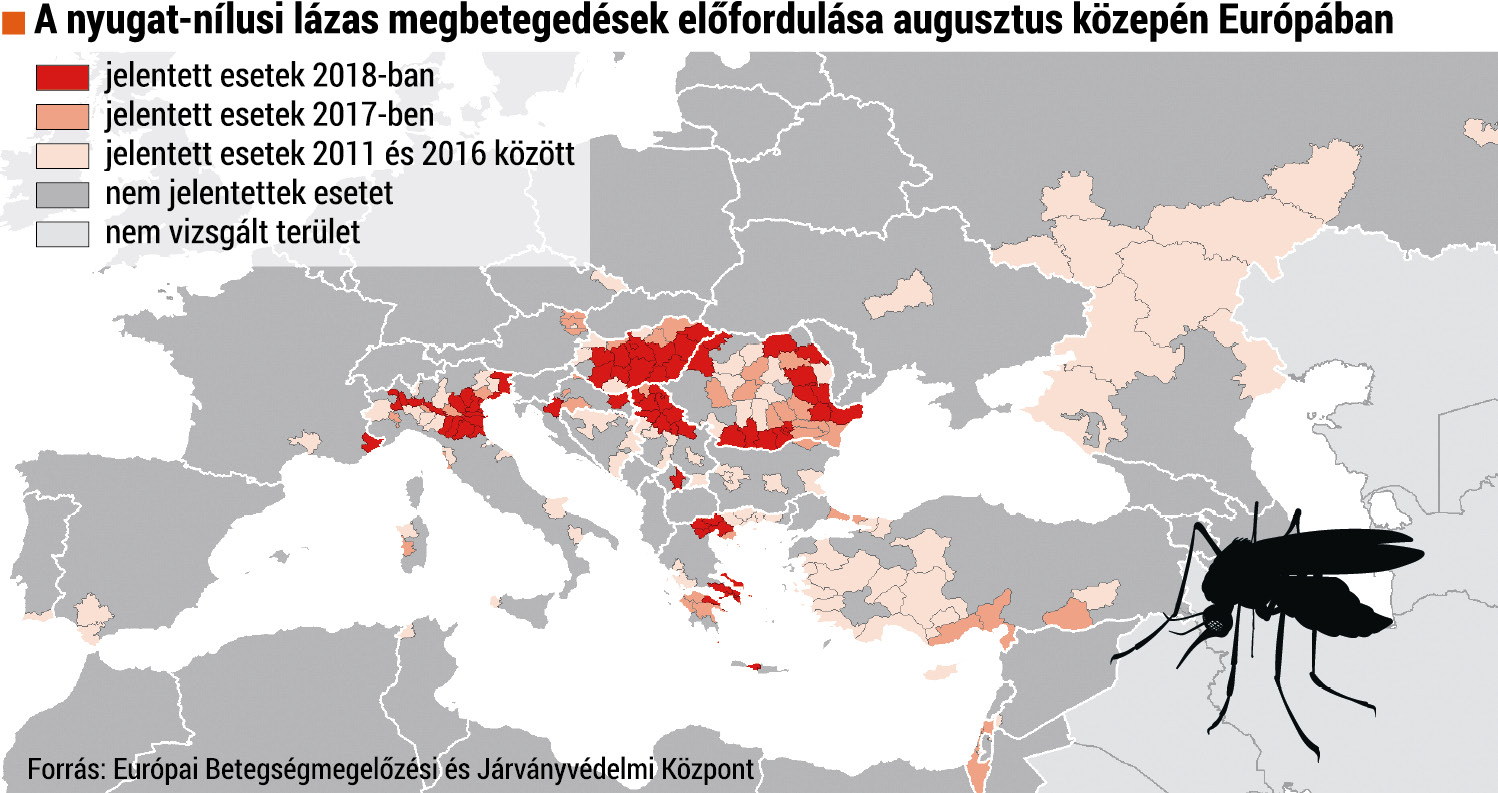 Fokusz2.tif