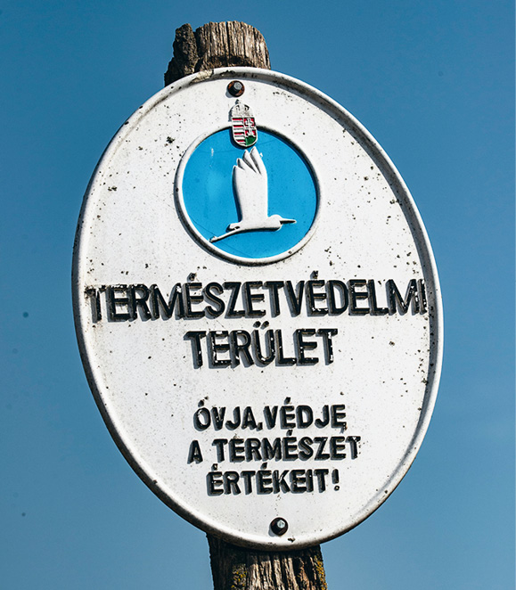 31-055-01.tif