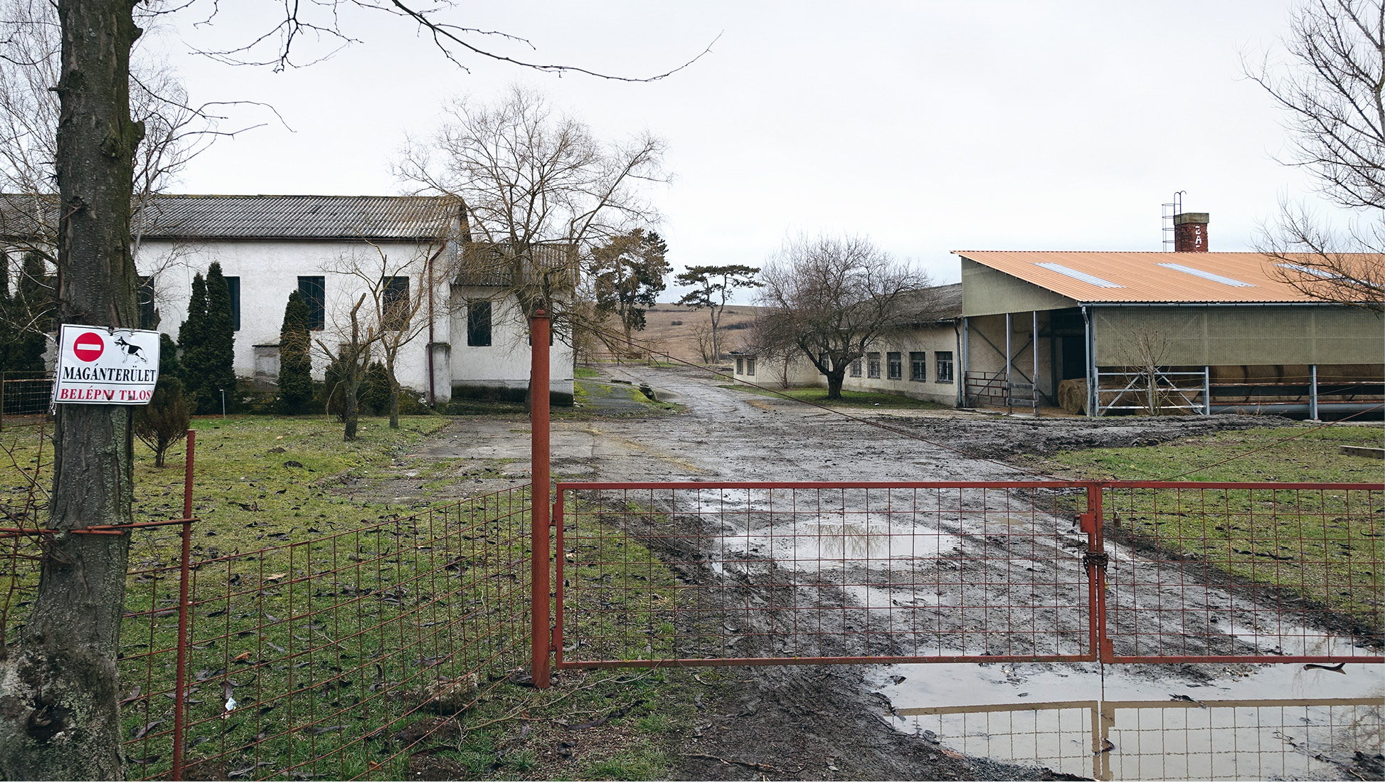 06-046-01.tif