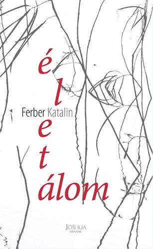 32-042-01.tif