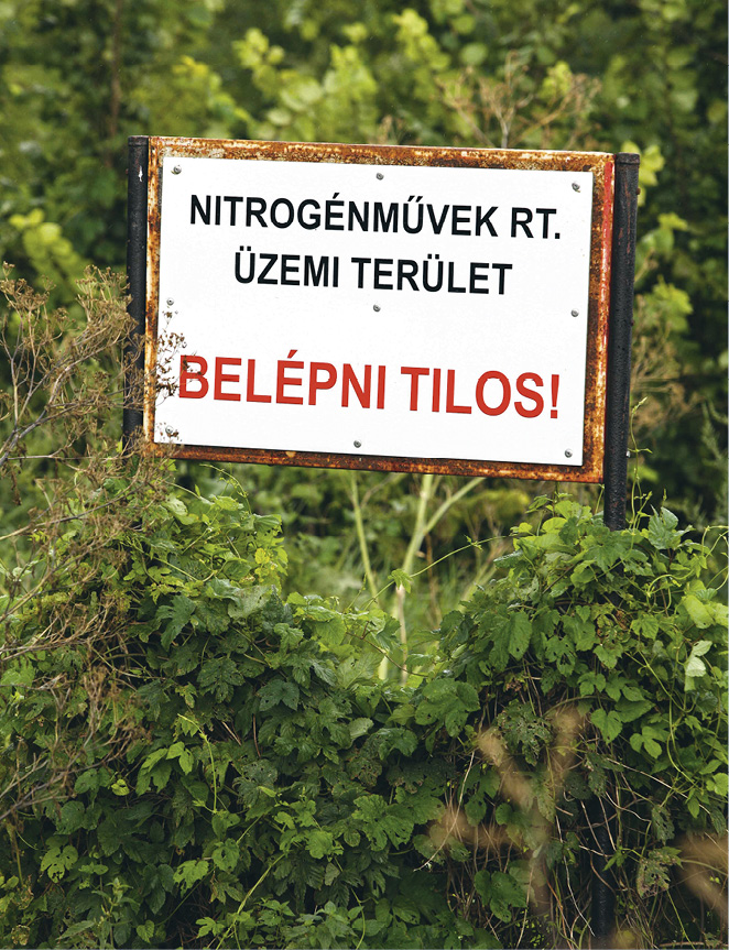 15-046-03.tif
