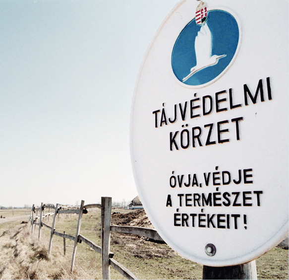01-011-02.tif
